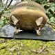 Large brass lion planter from the Napoleonic III era.