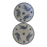 Ironware dishes