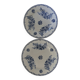 Ironware dishes