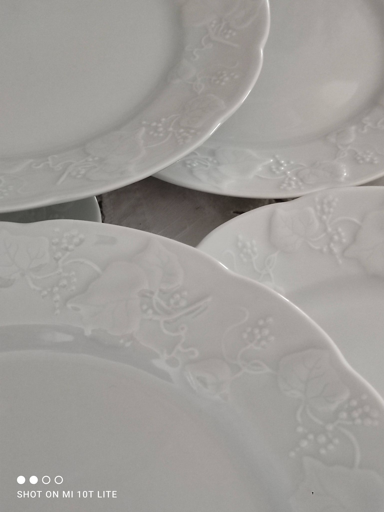 Set of 12 dessert plates in white porcelain marli in relief Wild Ivy