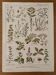 Illustrated plate on medicinal plants (XXV) - 1920
