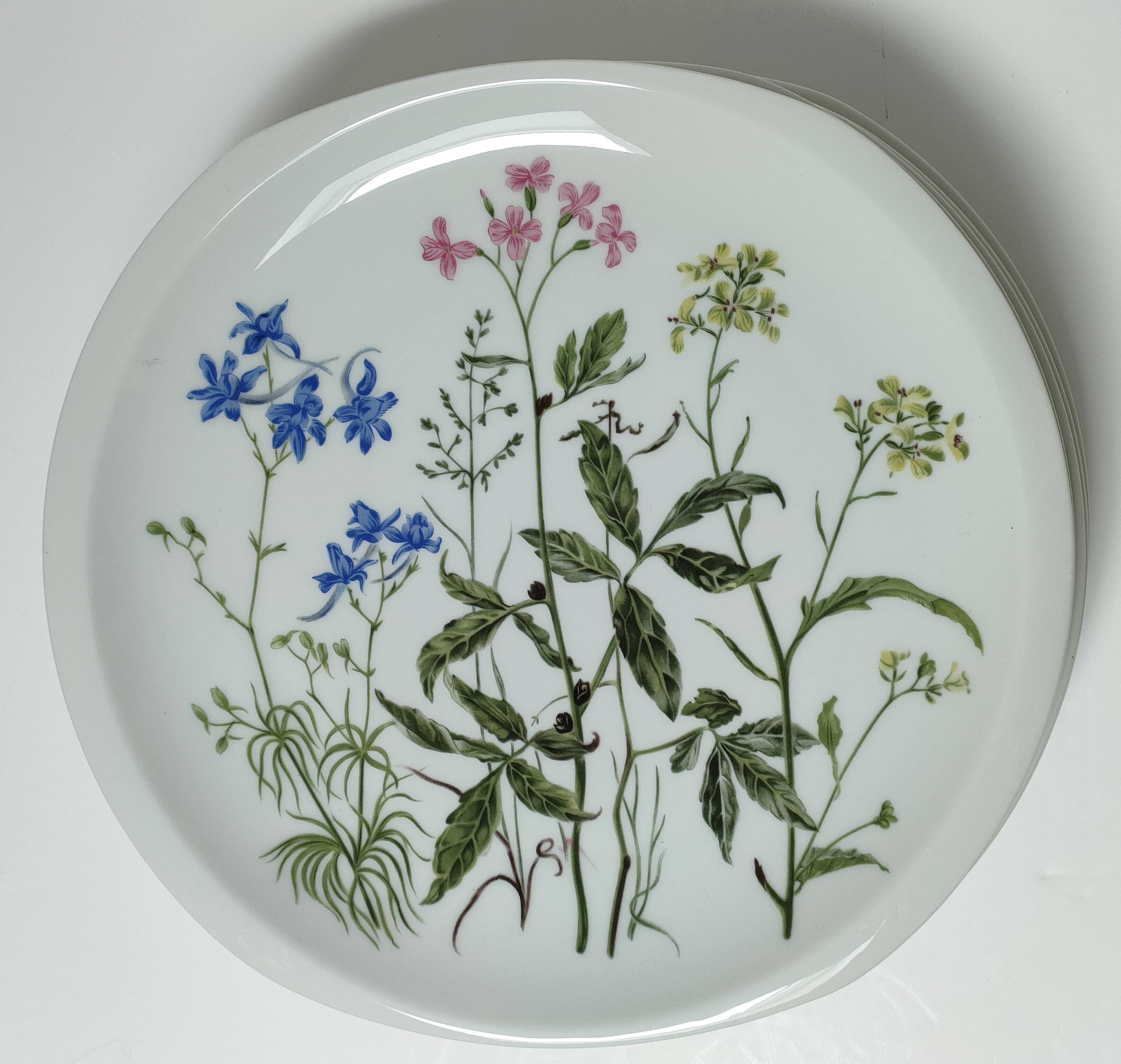 Six flat plates Alcée model porcelain Bernardaud Limoges floral decoration