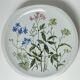 Six flat plates Alcée model porcelain Bernardaud Limoges floral decoration