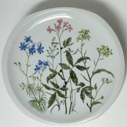 Six flat plates Alcée model porcelain Bernardaud Limoges floral decoration
