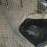 2 fauteuils Diamond Bertoia