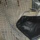 2 Diamond Bertoia armchairs
