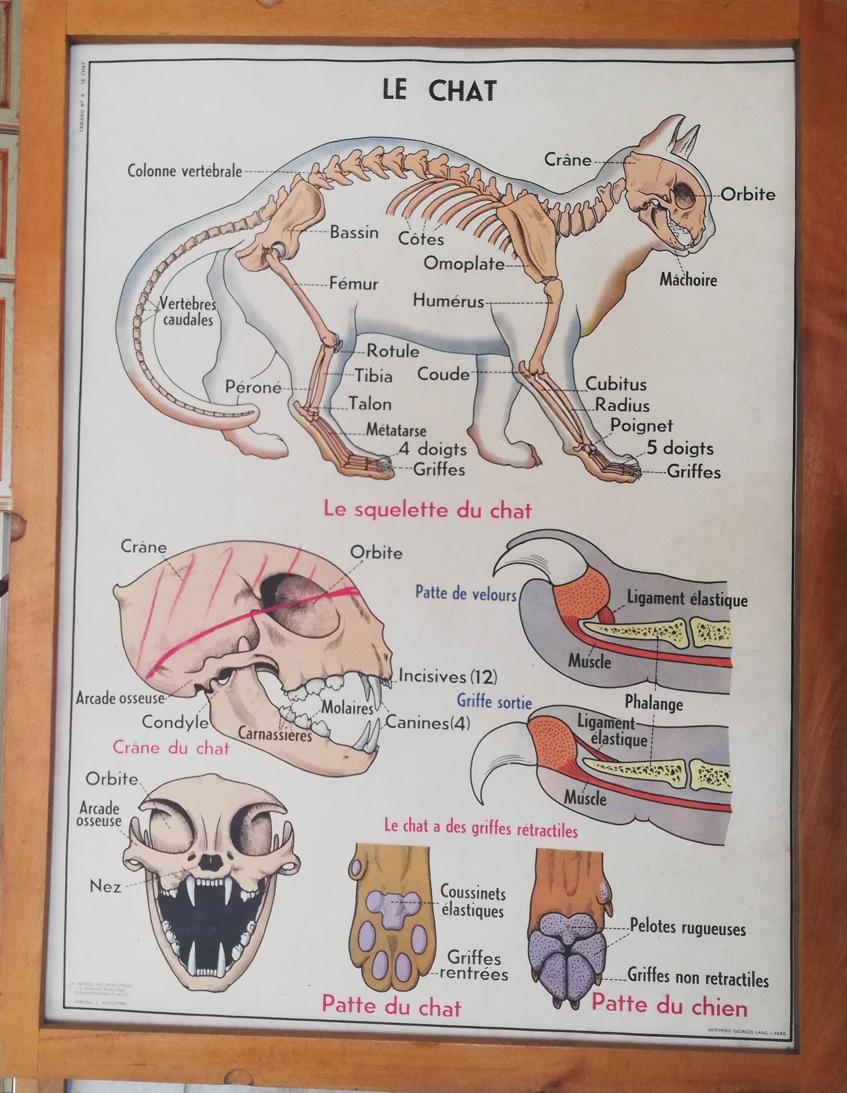 Vintage school poster