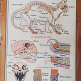 Vintage school poster