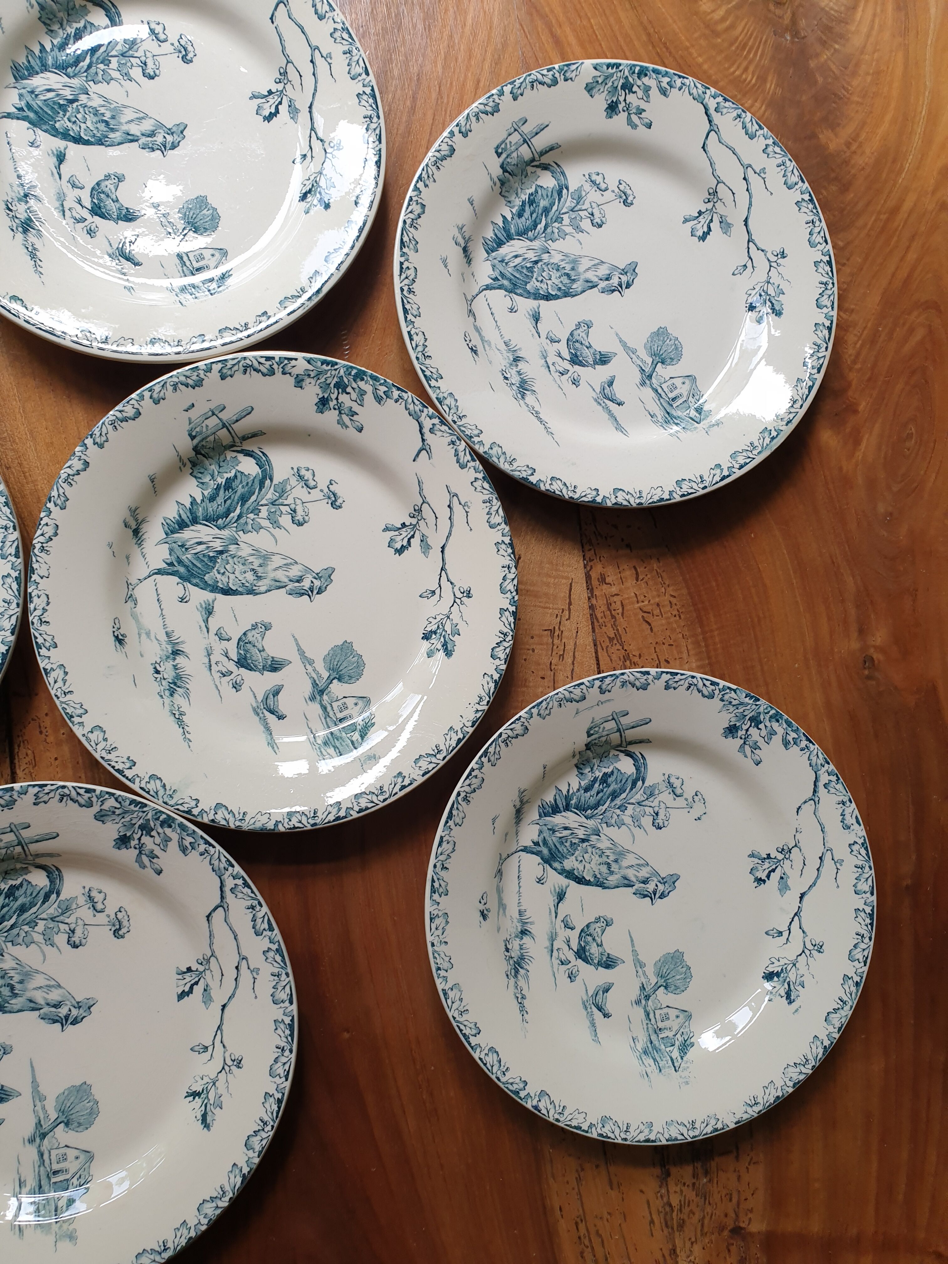 6 plates Gien Terre de Fer series "rooster"