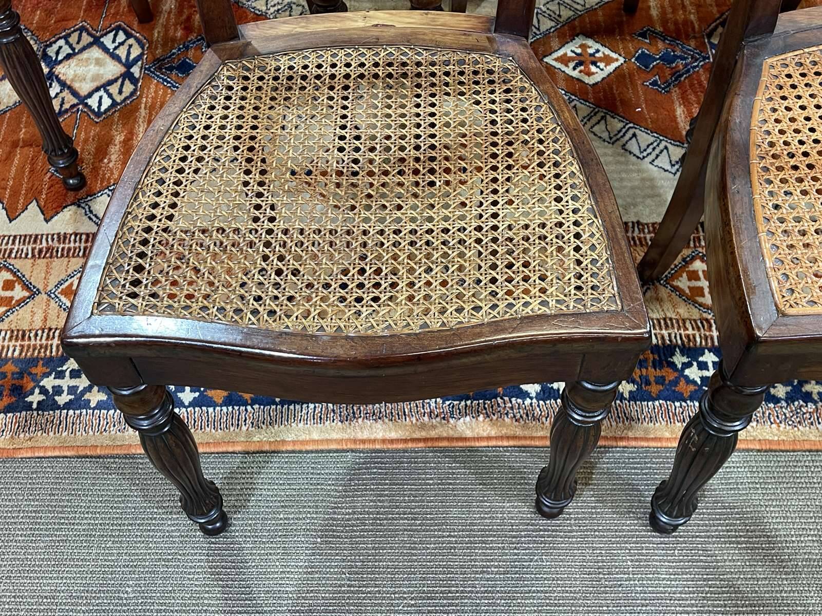 Set of 8 Louis Philippe 19th century mahogany chairs with caned seats