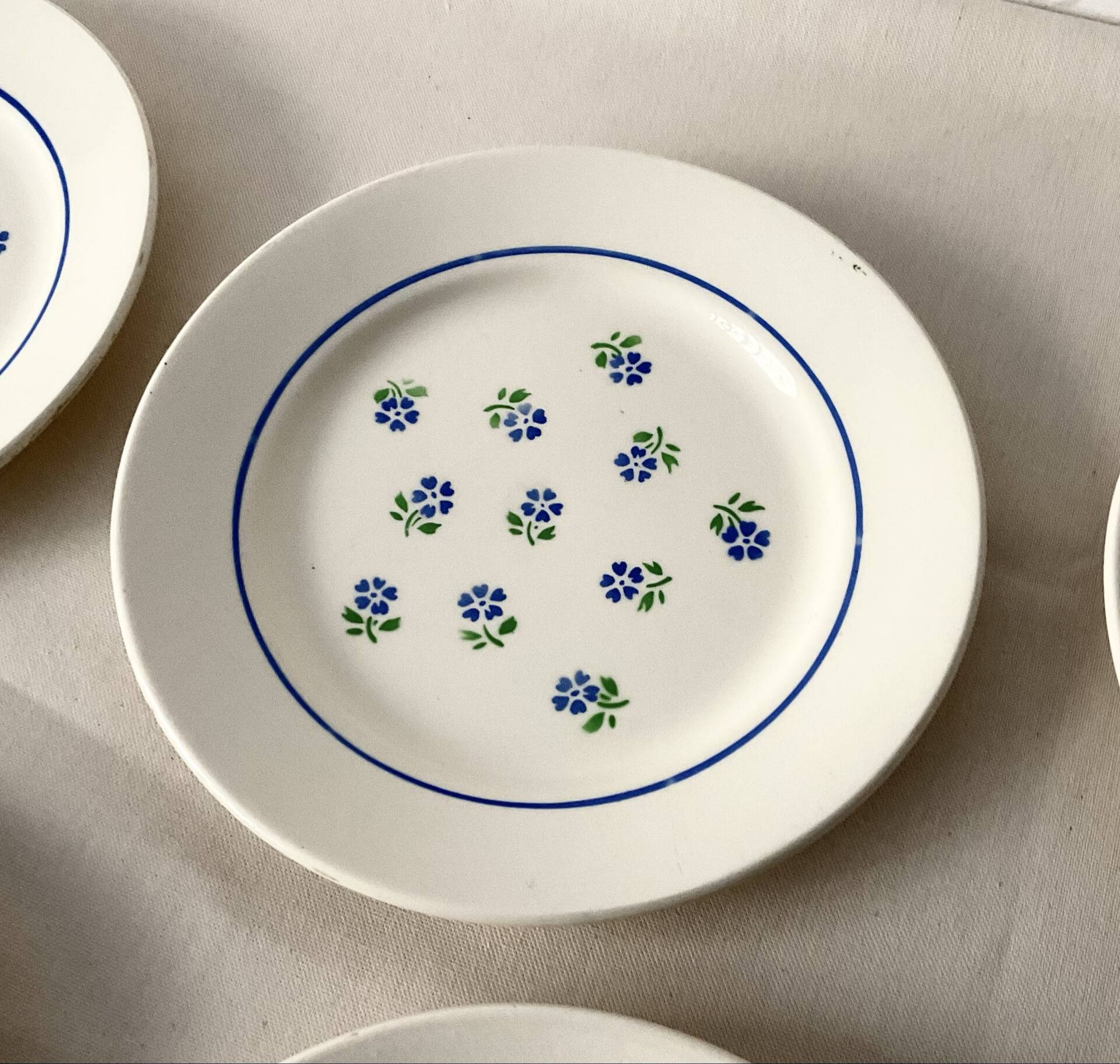 Set of 6 flat plates Badonviller in semi-porcelain – Flora design