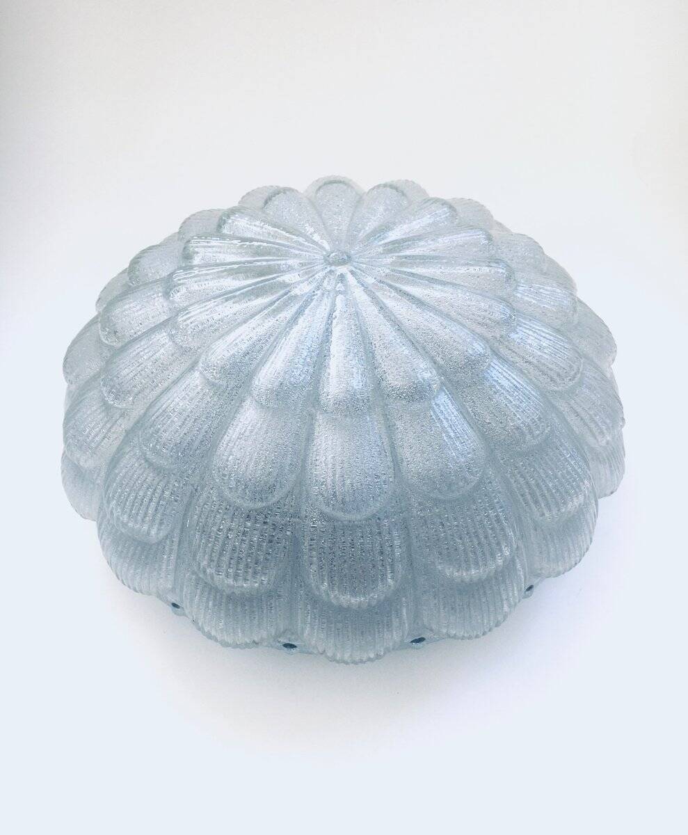 Large Frosted Flower Glass Sconce Wall Lamp from MCM, 1960s