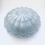 Large Frosted Flower Glass Sconce Wall Lamp from MCM, 1960s