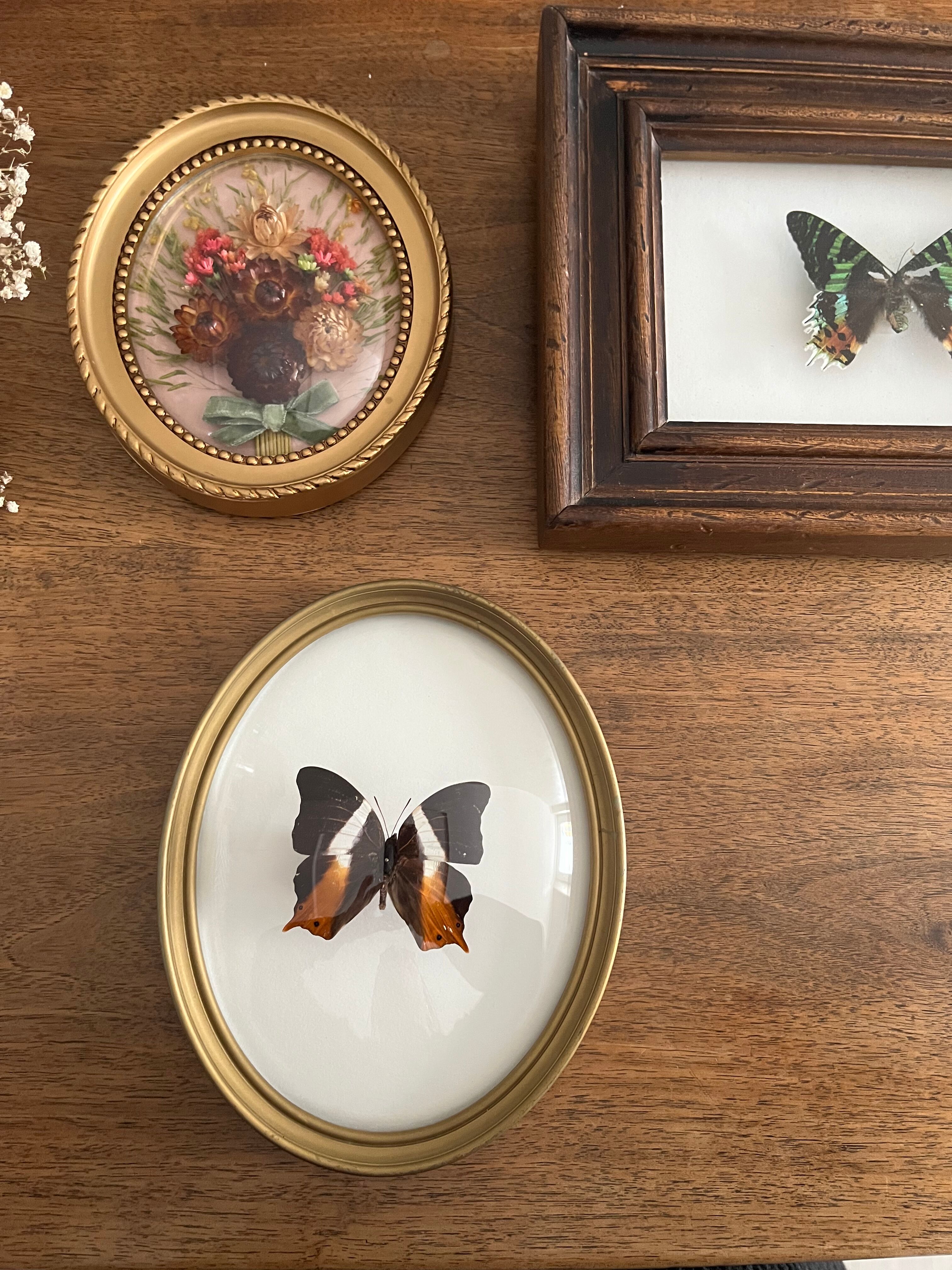 Butterfly frame naturalized curved glass