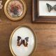 Butterfly frame naturalized curved glass