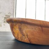 XL thuja root wooden dish