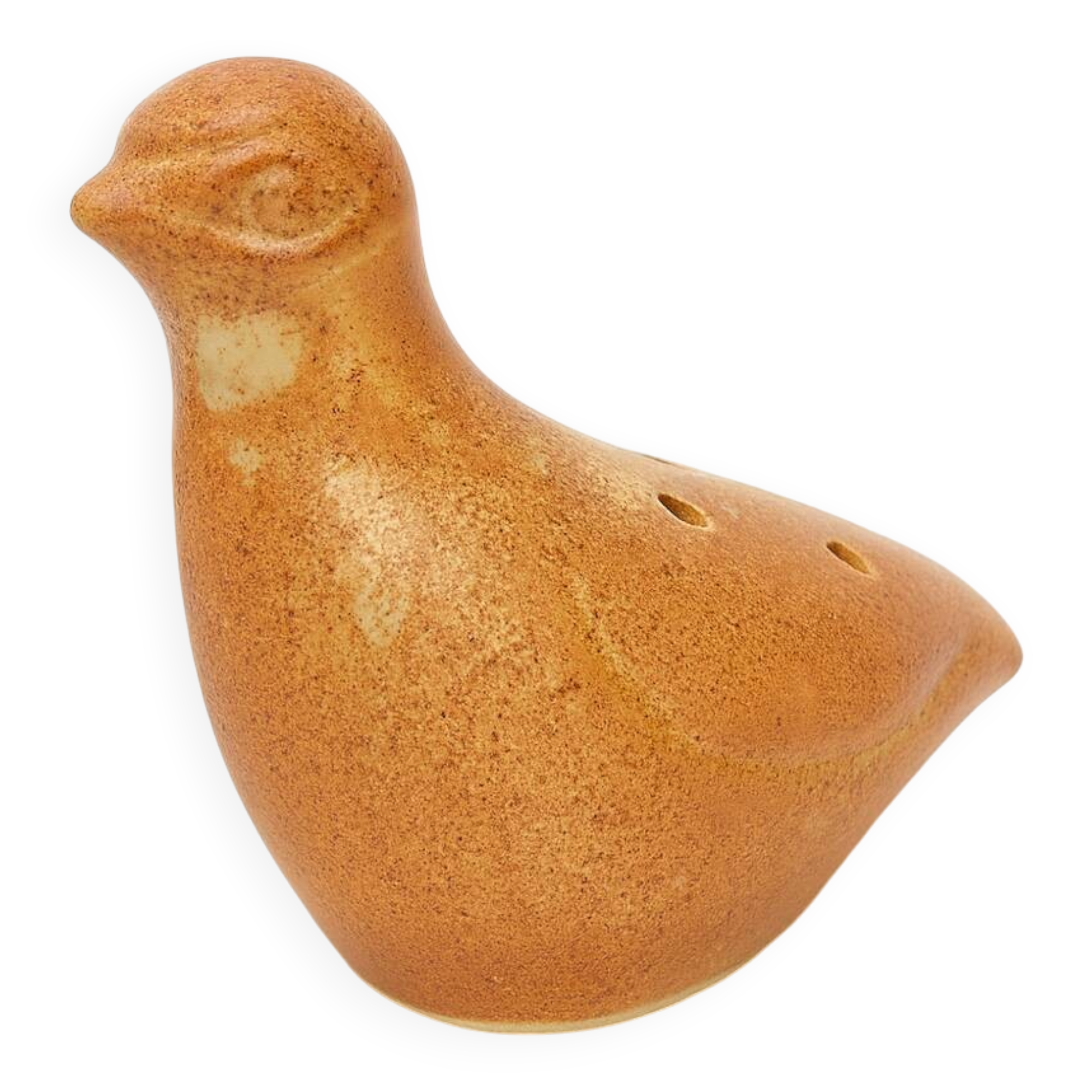 Flower picker bird the Dieulefit caves