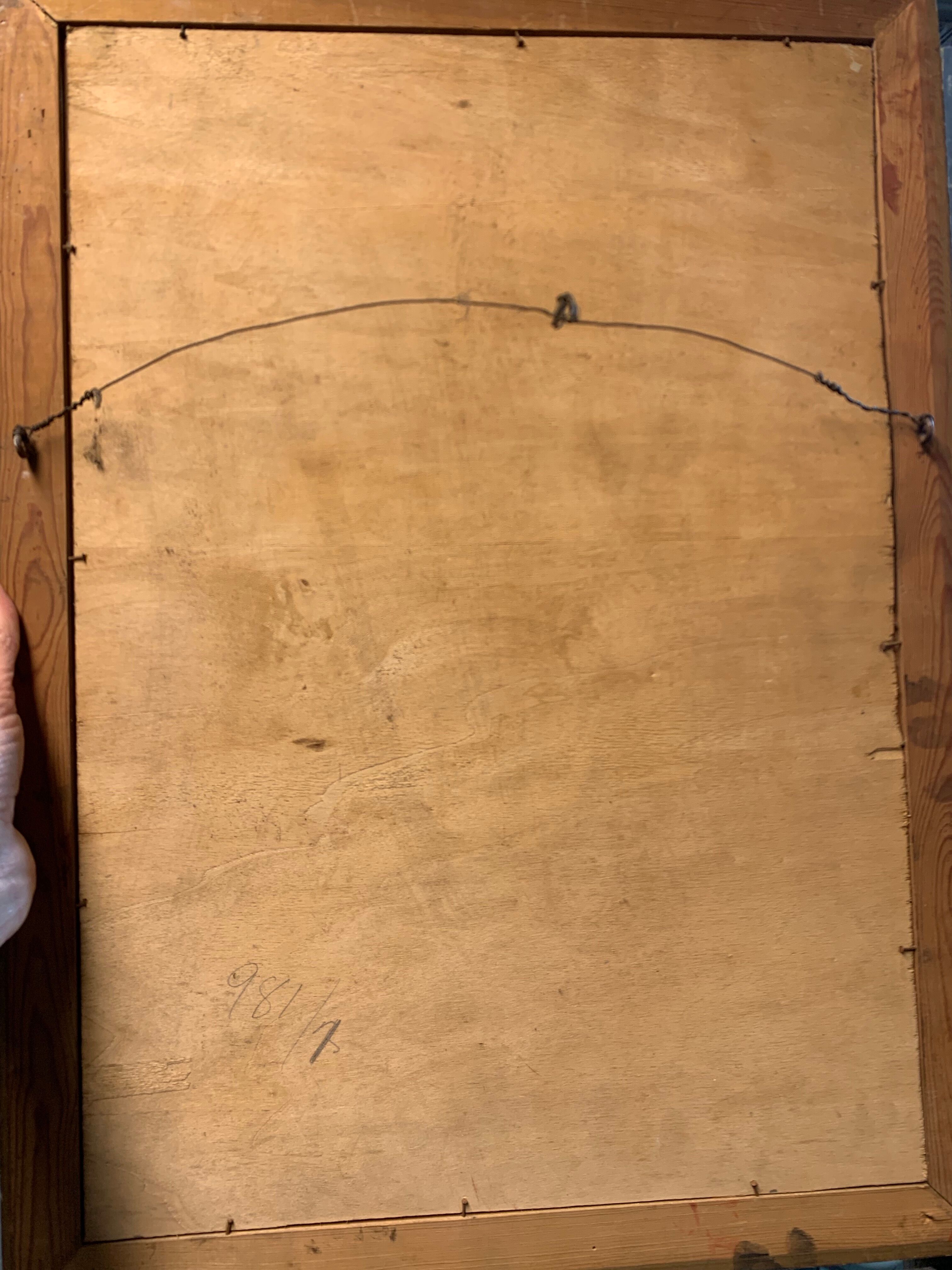 Portrait of a beautiful southern