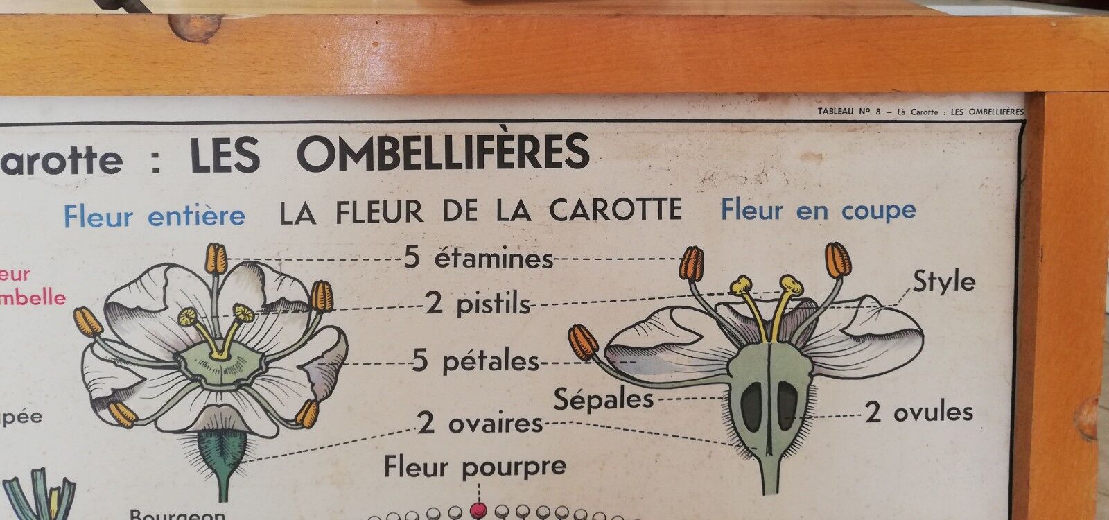 Old MDI school poster