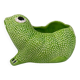 Big Frog Jean Roger