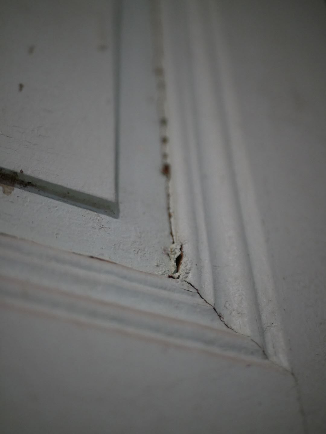 Antique painted wooden doors