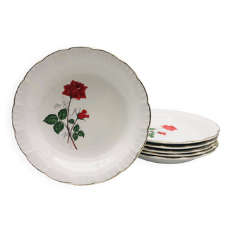 6 deep plates “digoin sarreguemines” rose decoration.