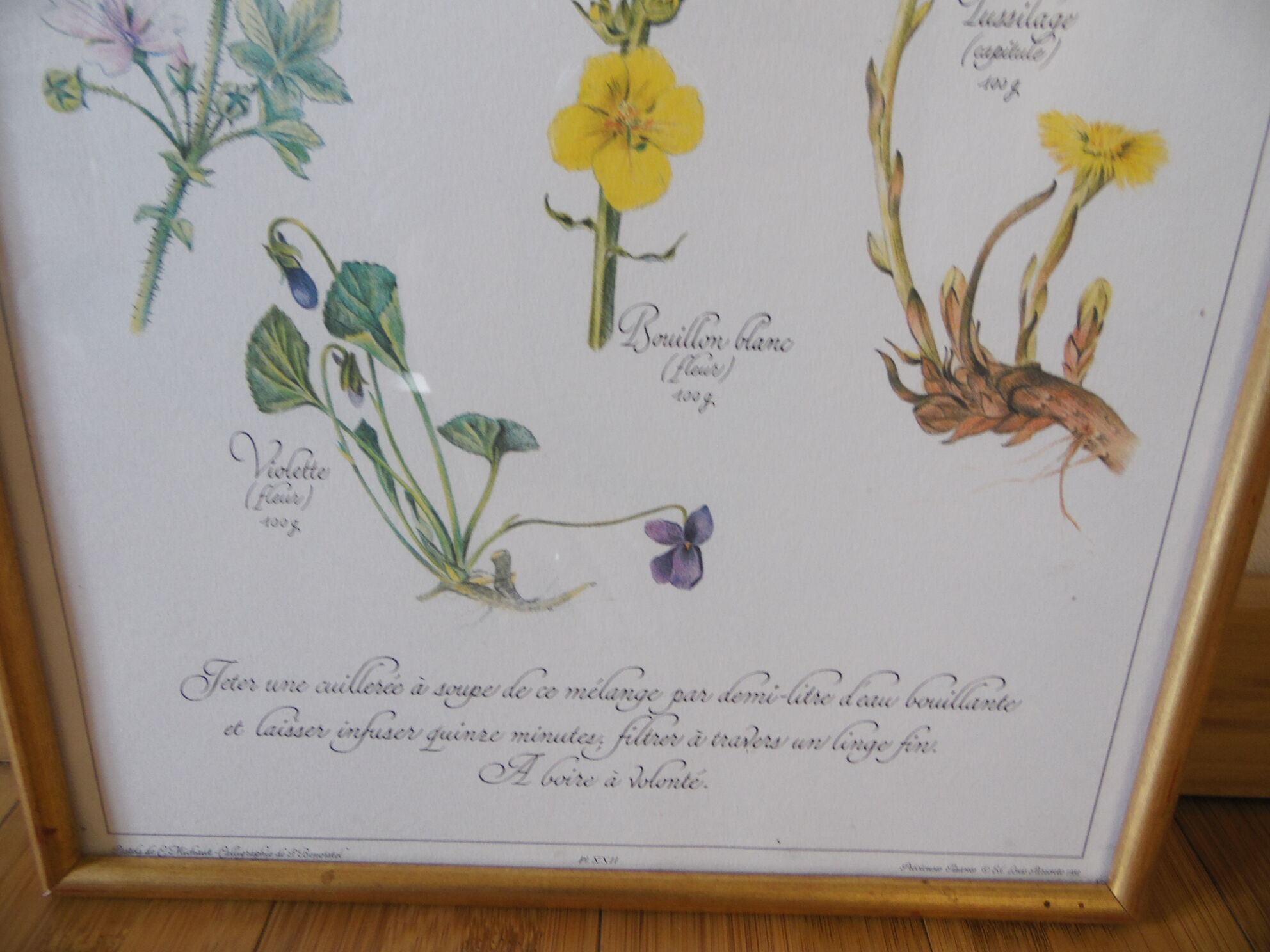 Botanical board Tisane inflamed throat , 1982 C Michaut