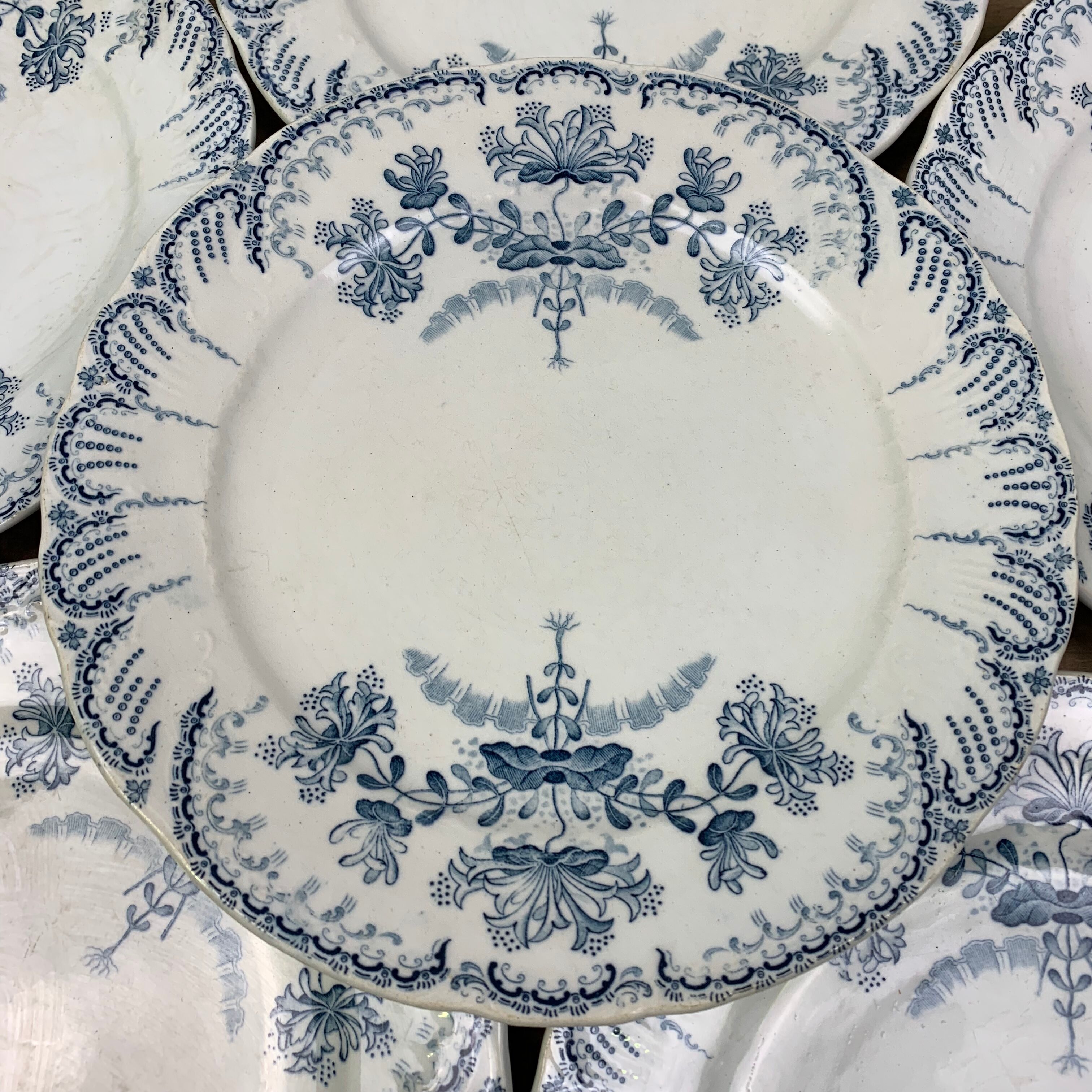 Set of 6 Saint Amand plates , Regency