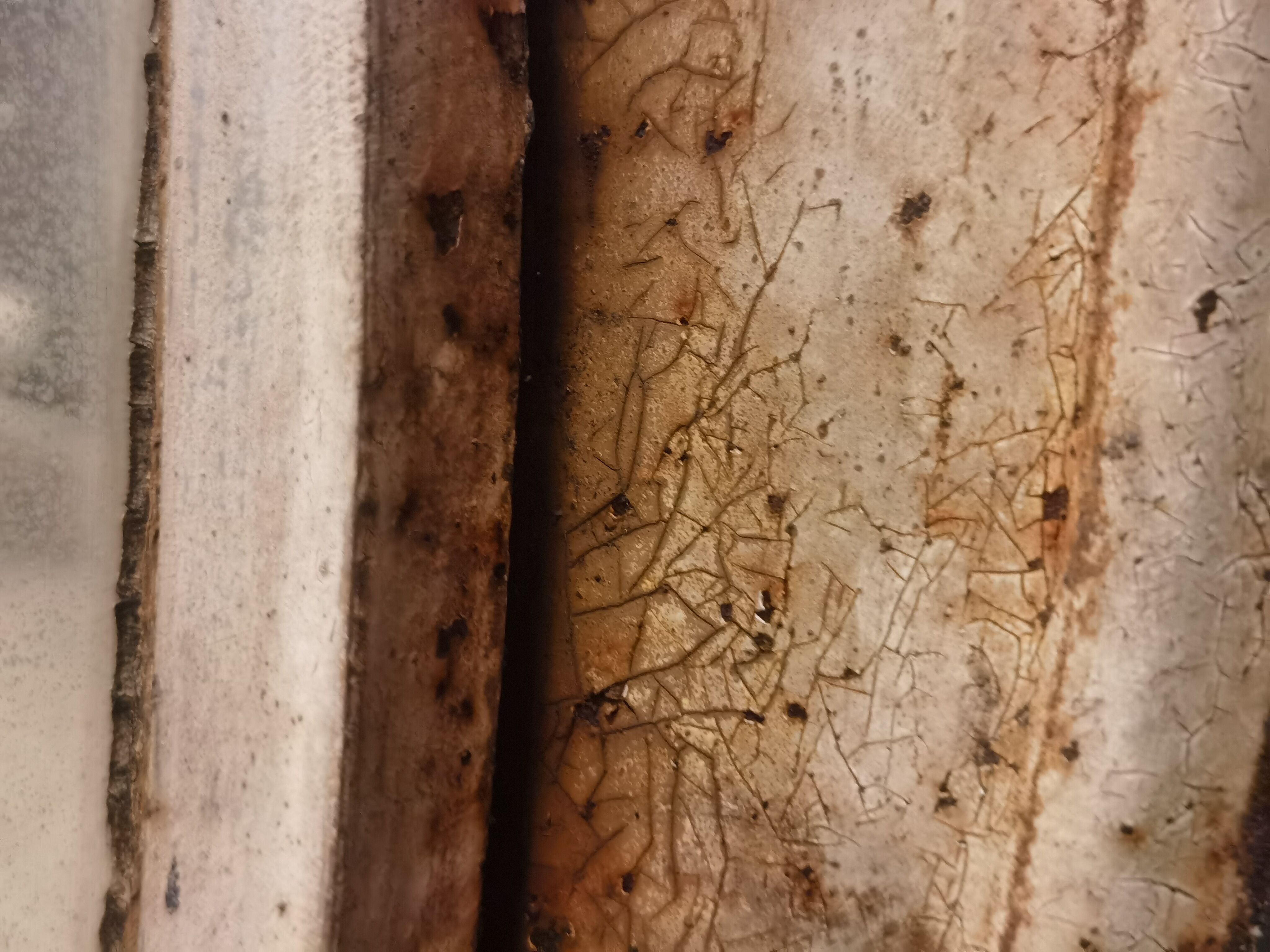 Industrial Convex Mirror Czech Republic 1960