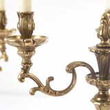 Pair of antique 6-arm bronze candelabras, 19th century