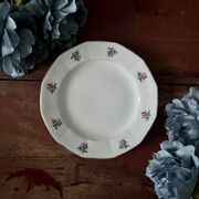 Assiettes et plat en véritable opaque Digoin Sarreguemines