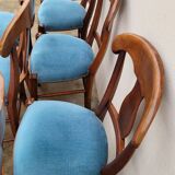 Set of 6 directoire style velvet chairs
