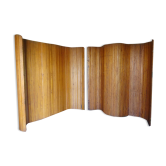 Pair of Baumann screens