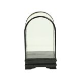 Small ancient chinese bell jar display curved glass black wooden base 21cm