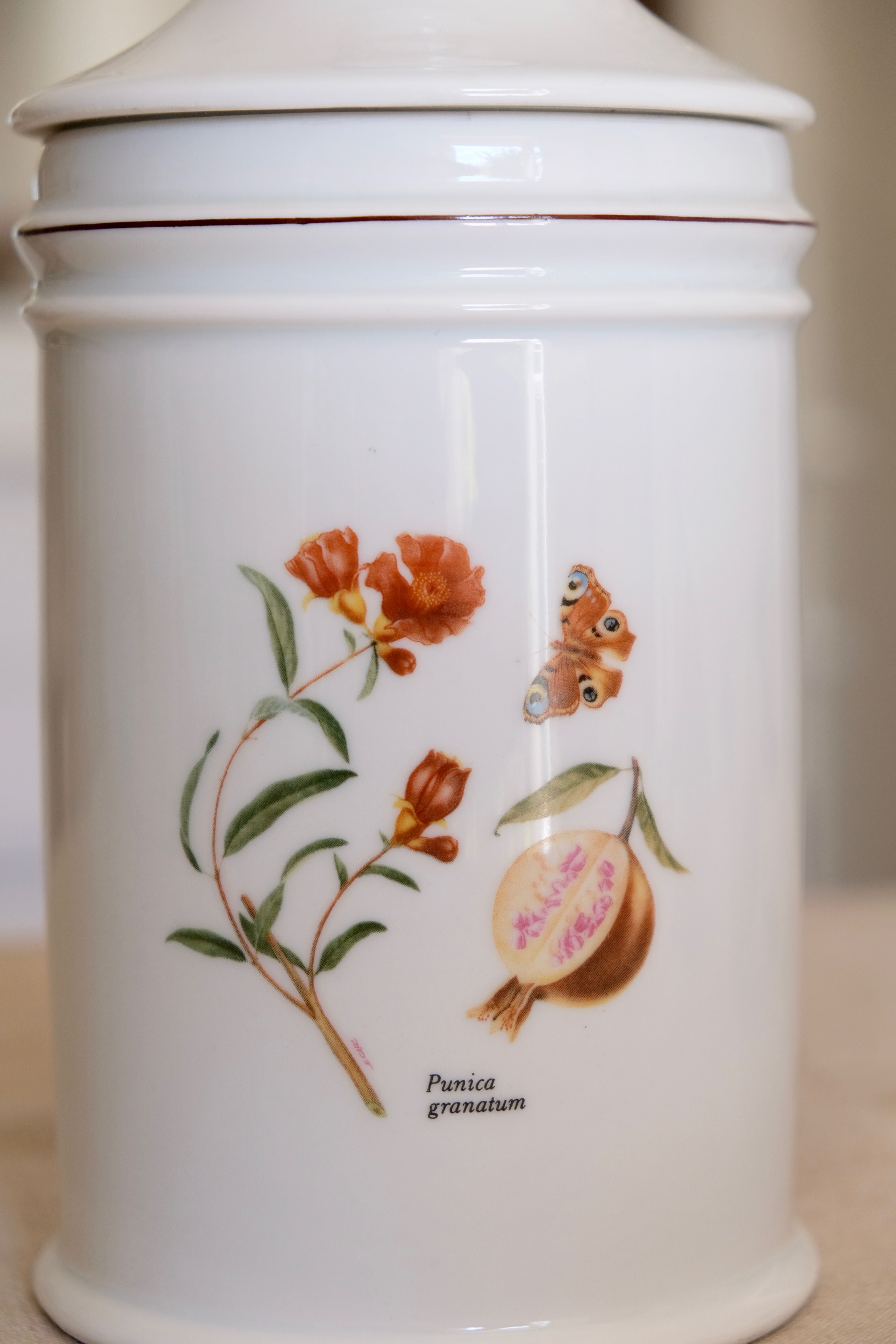 Pharmacy jar "Passiflora" porcelain Lourioux, creations Ph. Dehoulières France