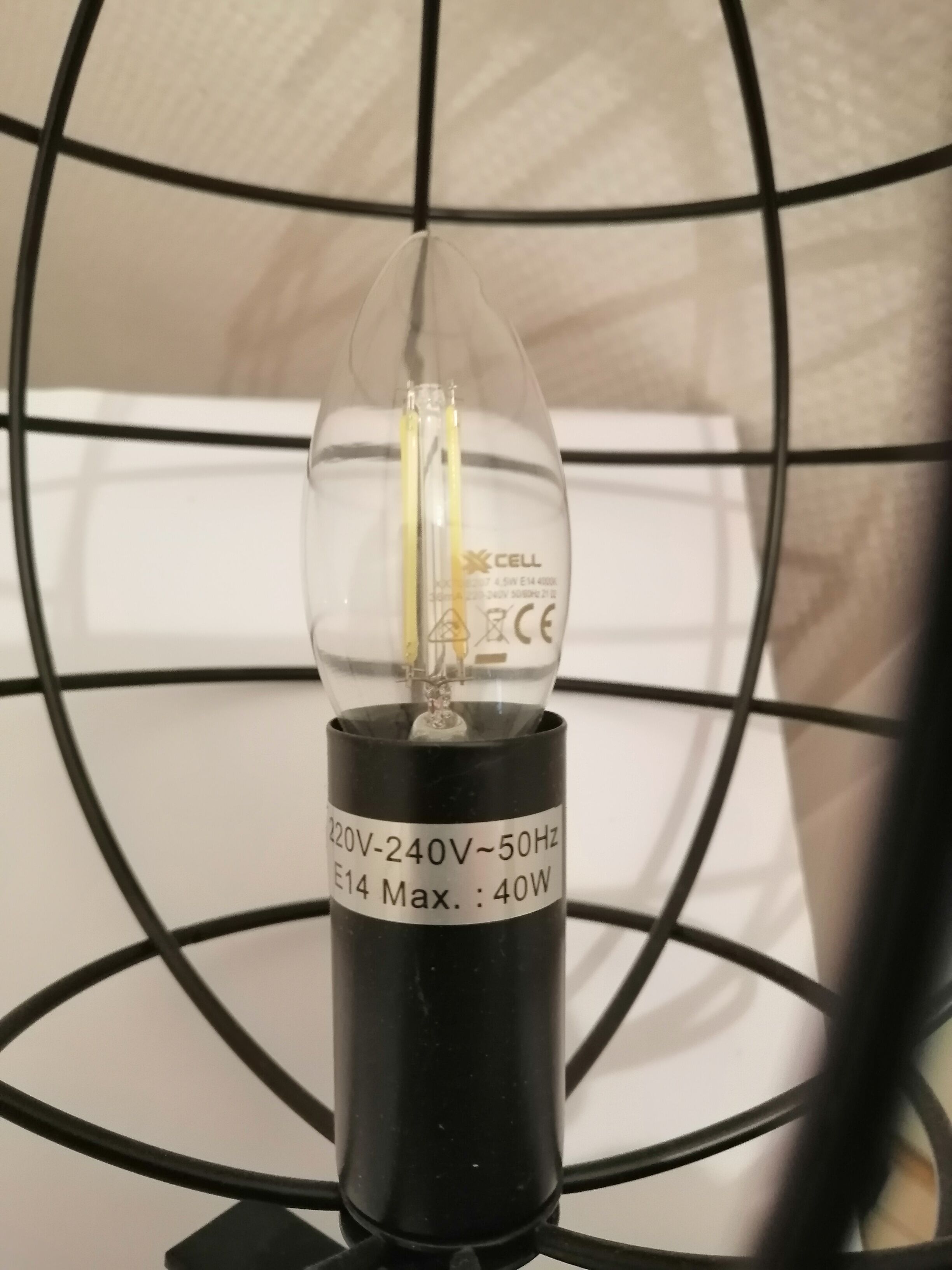 Cage globe lamp