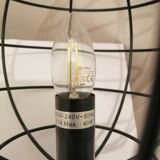 Cage globe lamp
