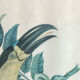 Gravure, Toucan Ariel, Descourtilz