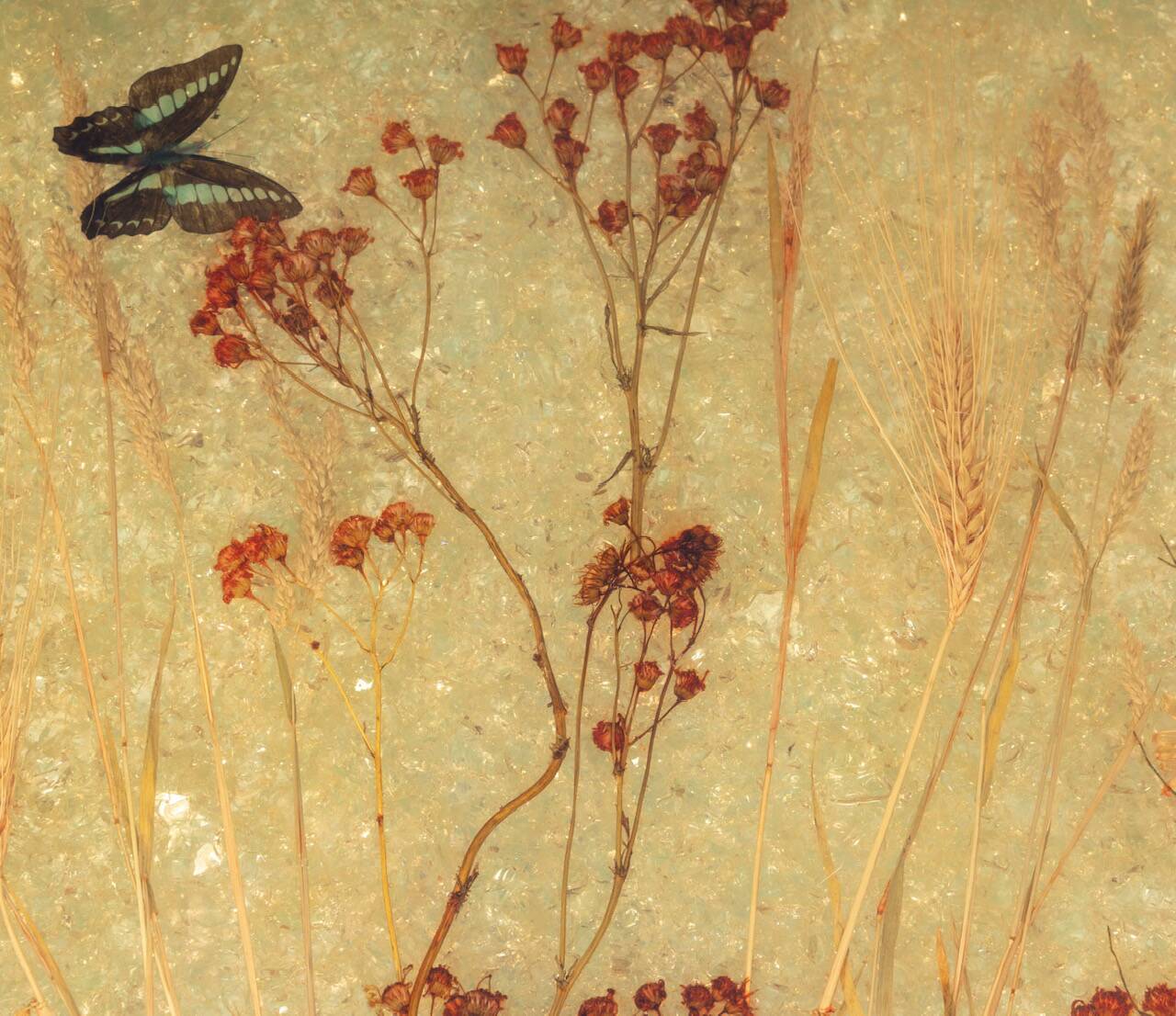 Accolay side table in resin and gold-tone metal