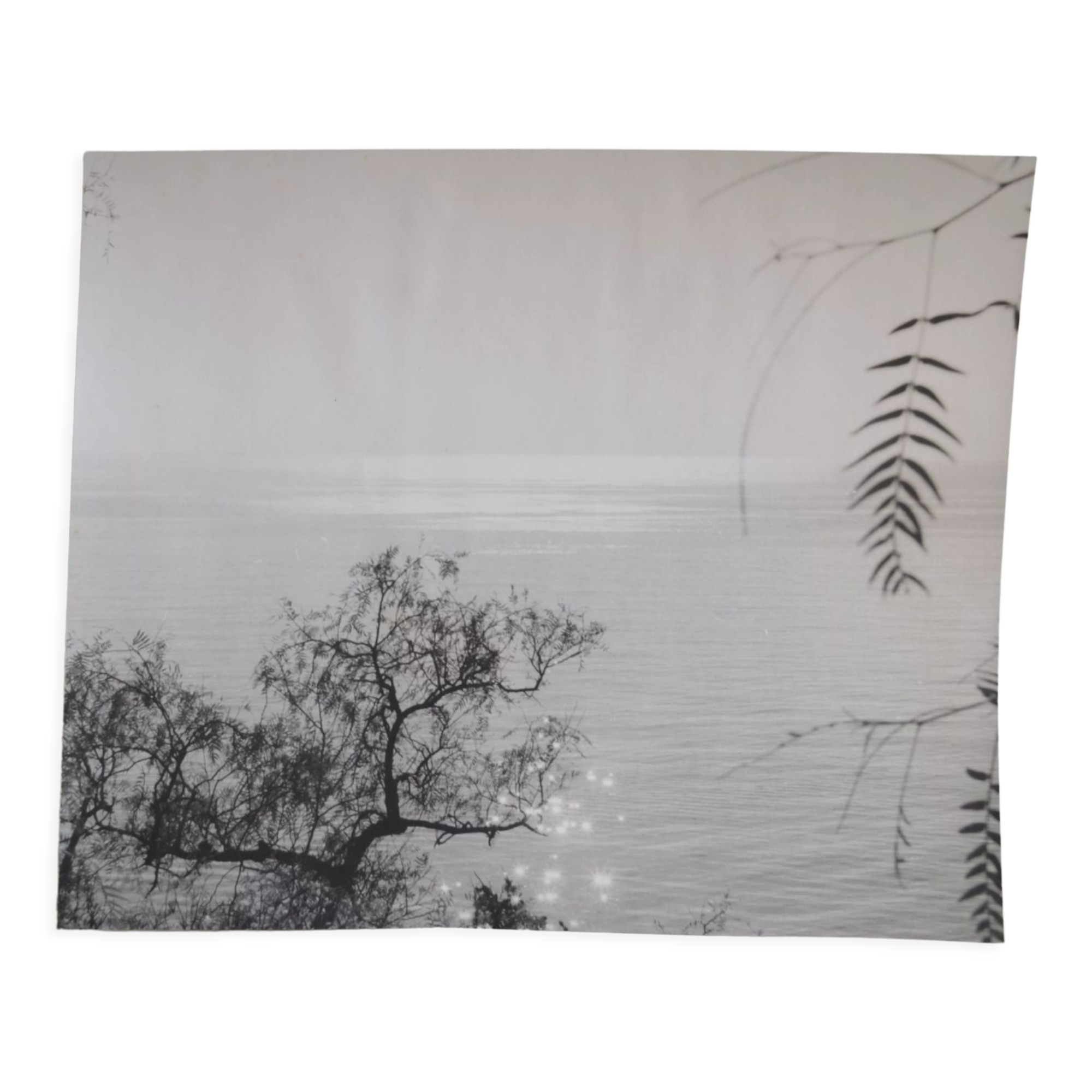 Anonymous silver photo sea circa 1970