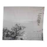 Anonymous silver photo sea circa 1970