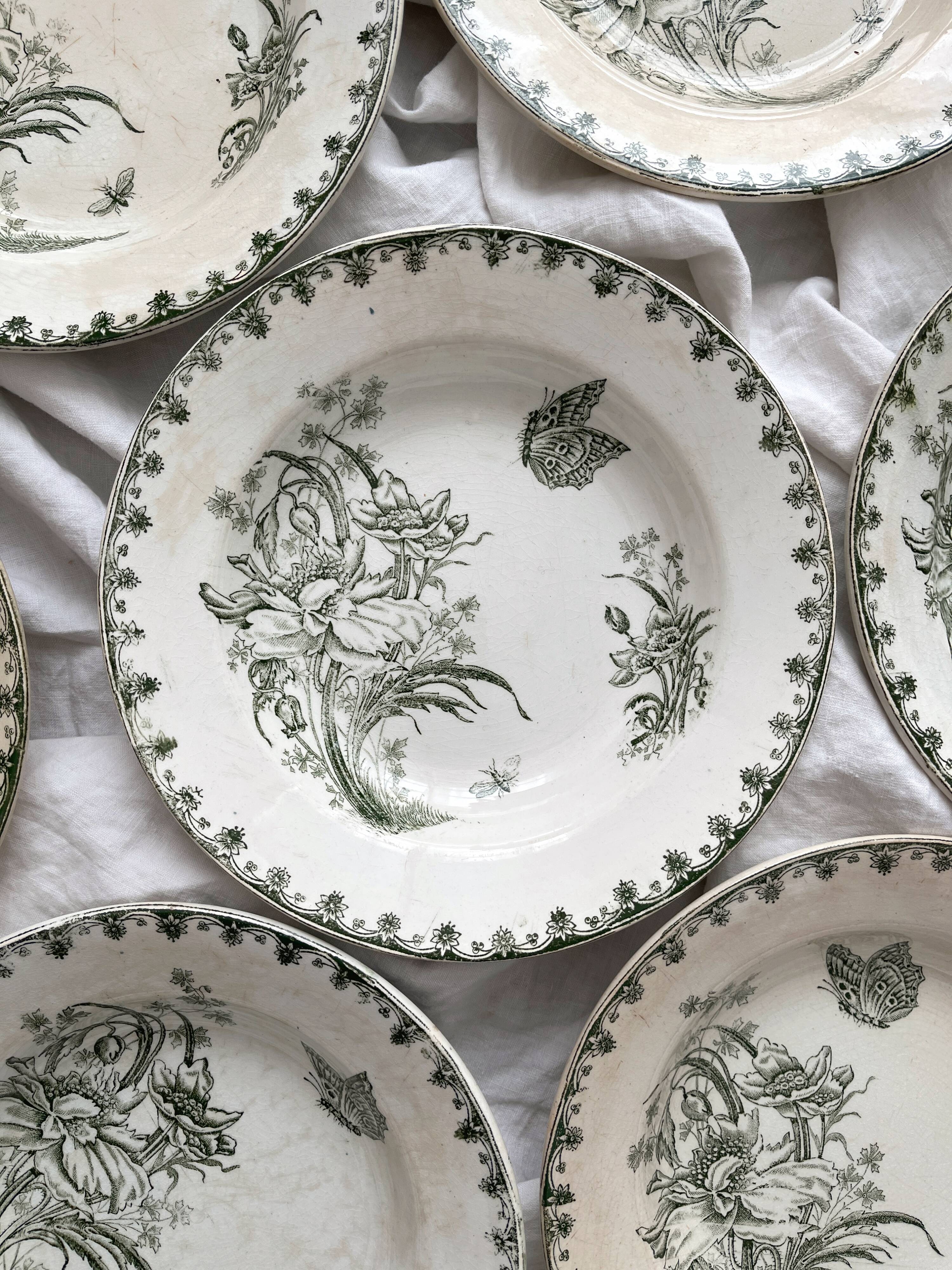 7 earthenware soup plates with butterfly and flower design "Nancy" LG Clairefontaine