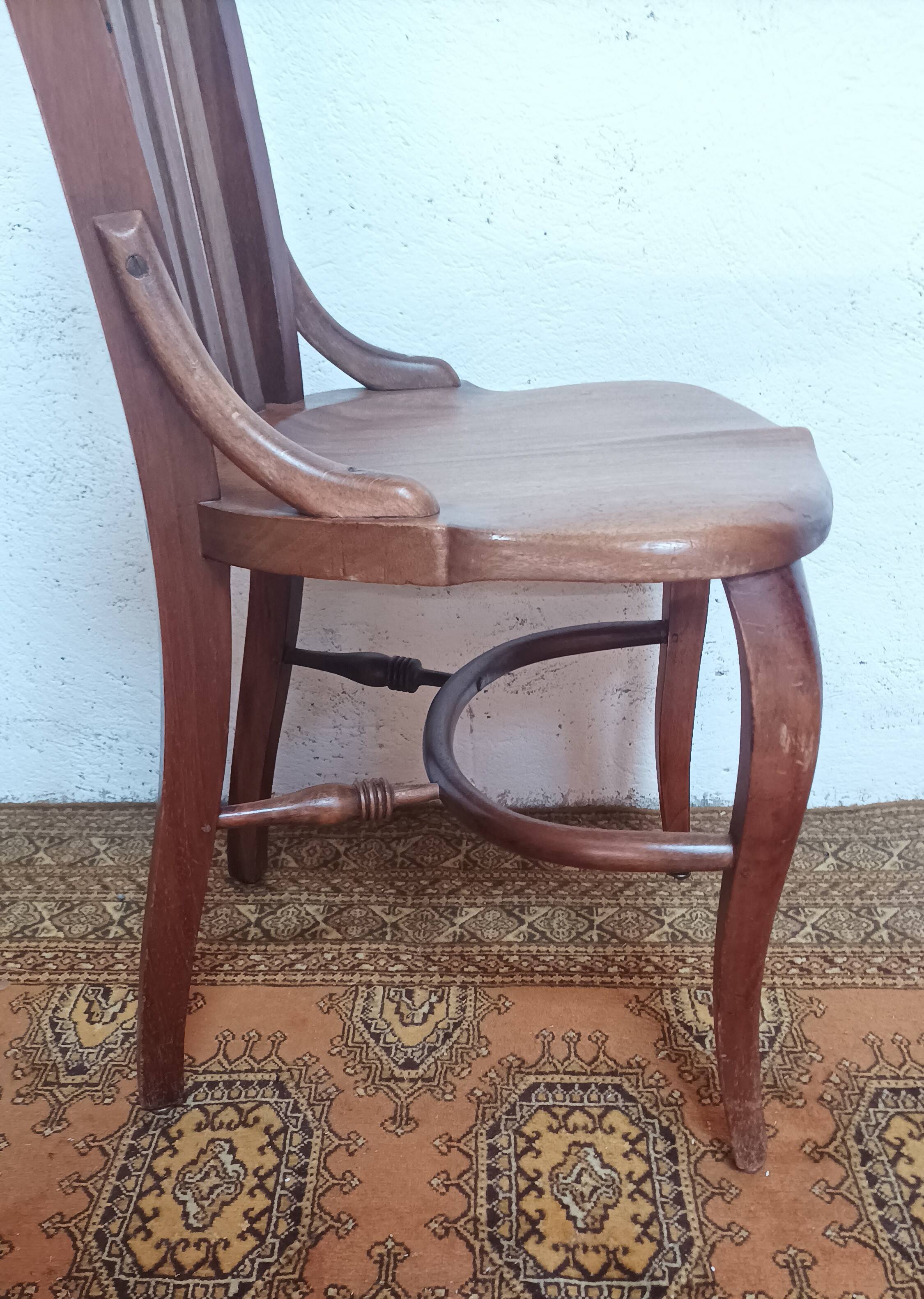 Vintage Cosmos house chair