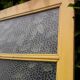 Door vintage translucent glazing