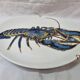 Blue lobster plate, Pillivuyt