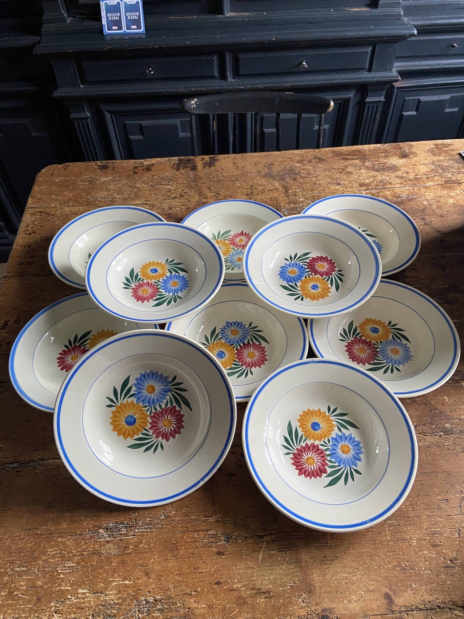 Iron earth plates Blue and pink floral pattern 10 pieces
