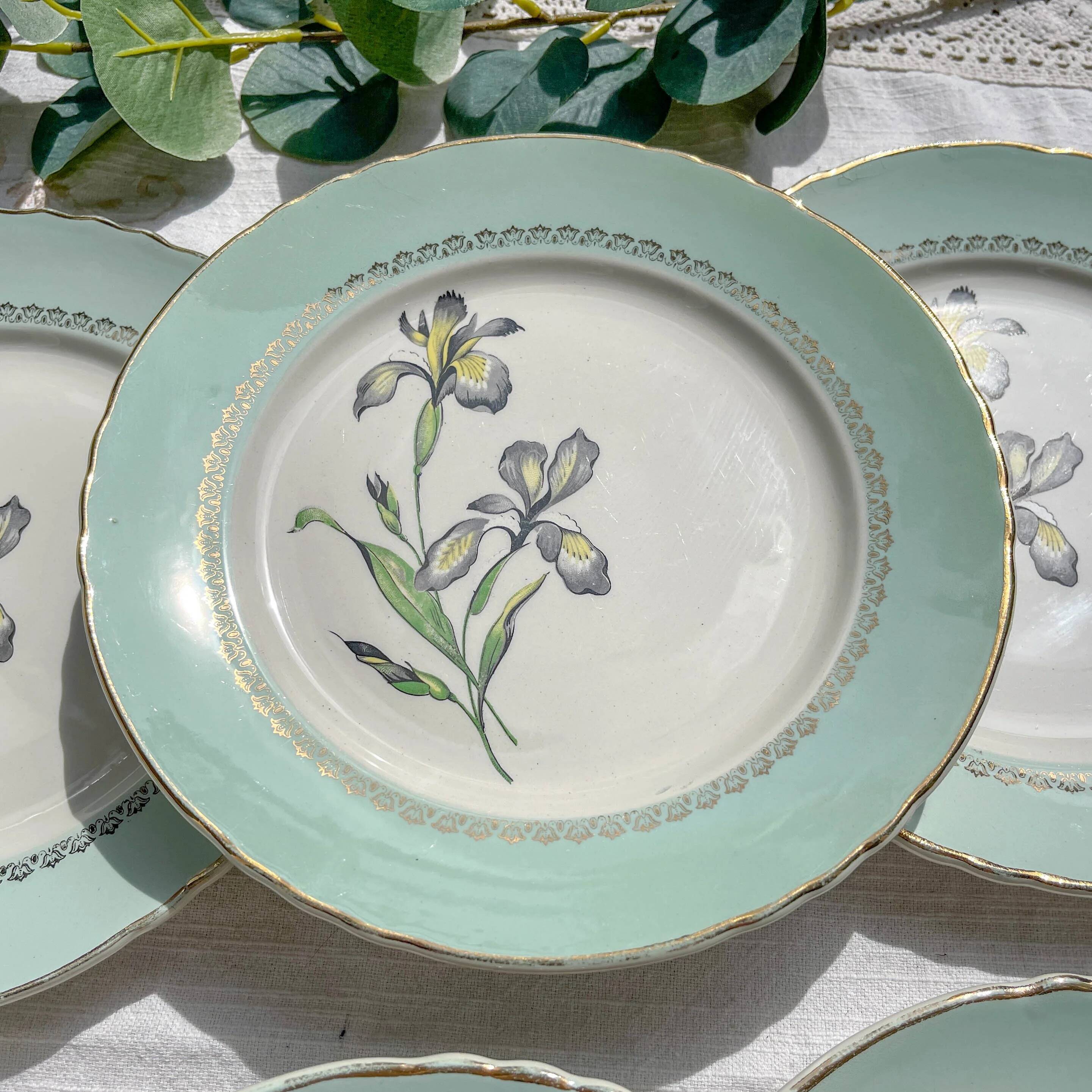 6 vintage white and green porcelain dinner plates Iris Moulin des Loups "Sargosse" 1950s