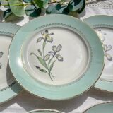 6 vintage white and green porcelain dinner plates Iris Moulin des Loups "Sargosse" 1950s
