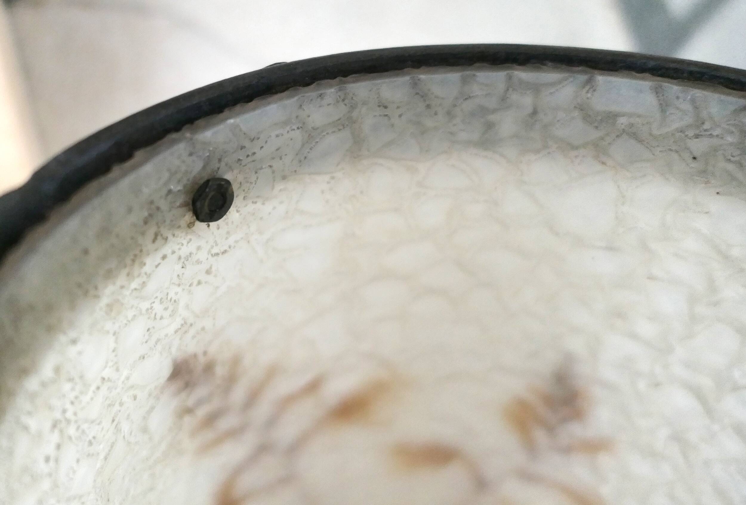 Wrought iron lamp and Perspex lampshade with herbarium decor