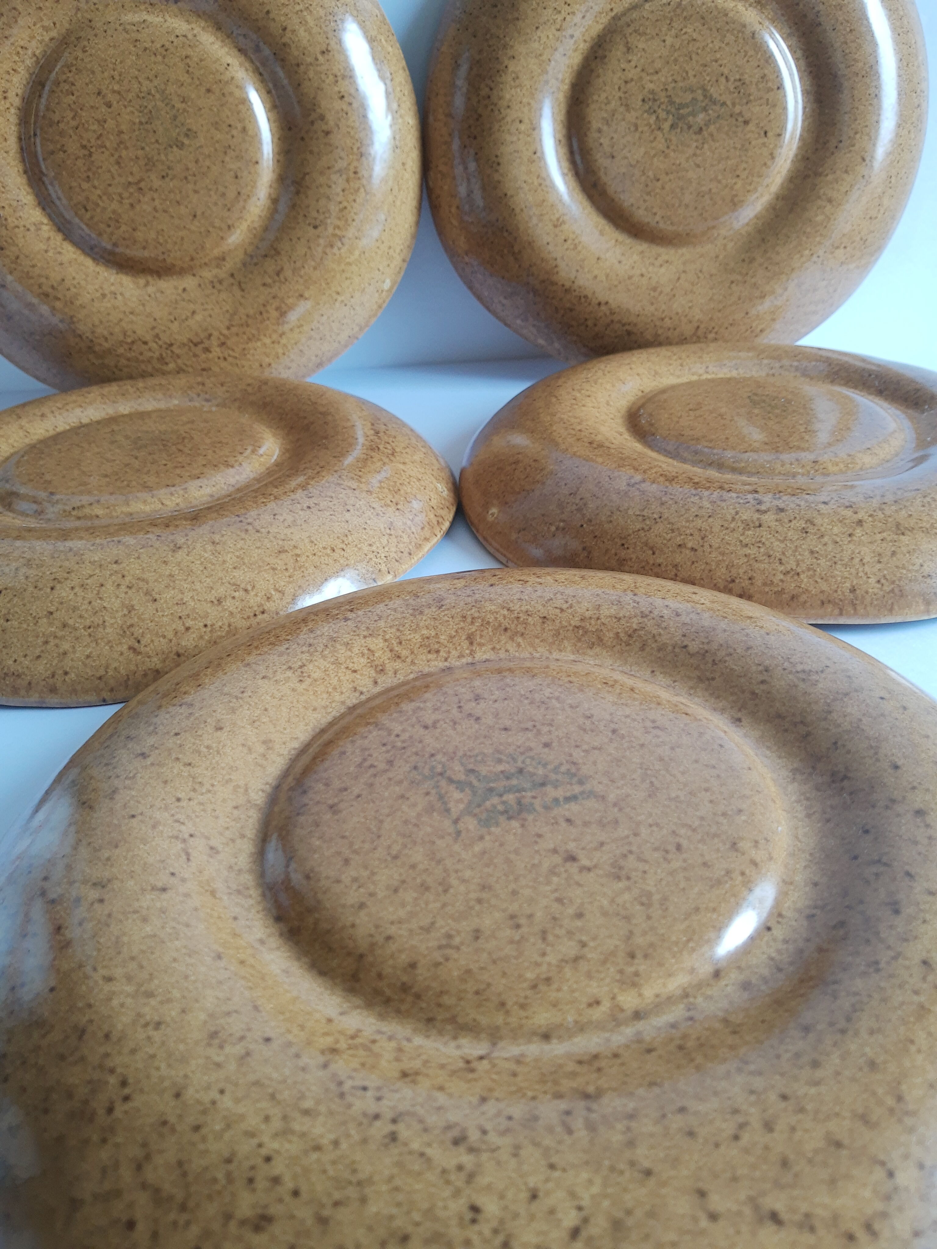 Set of 5 plates with compartments in vintage Longchamp sandstone